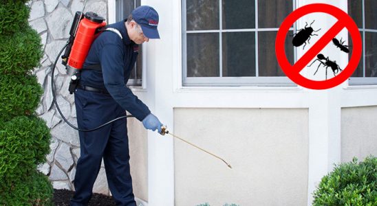 Balatçık Uçan Haşere İlaçlama böcek ilaçlama ve haşere kontrolü — ilaclama-tr.com